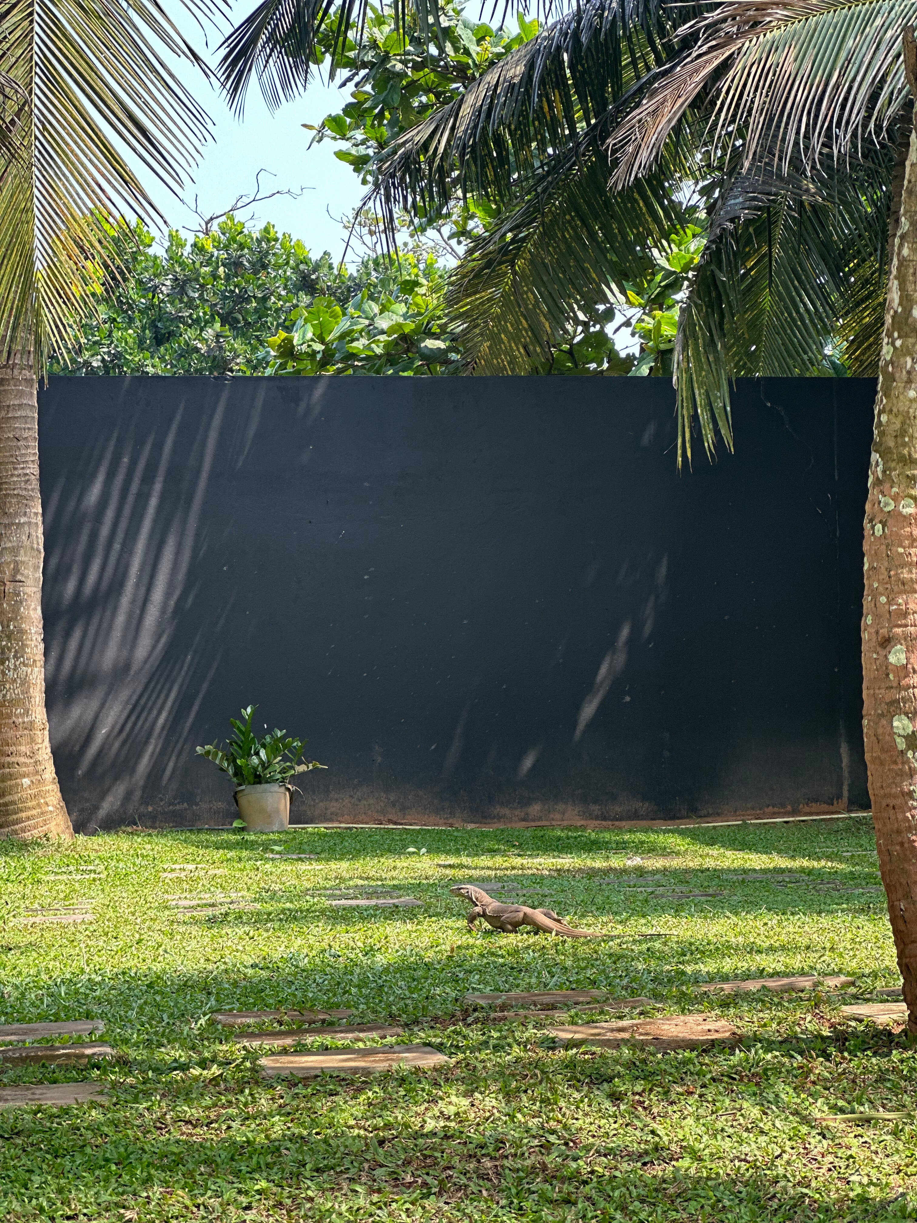 Фото Coco Royal Beach Resort - Waskaduwa