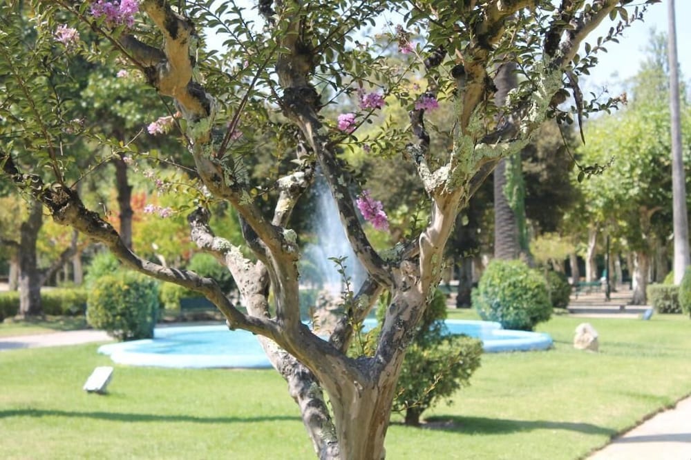 Фото Hotel das Termas Curia