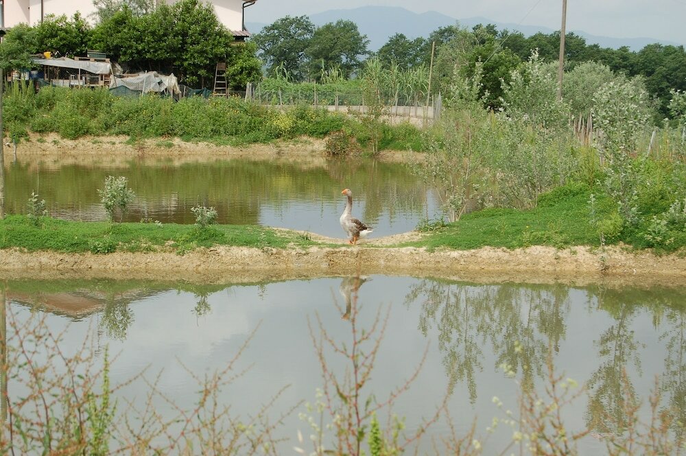 Фото Agriturismo Musignano