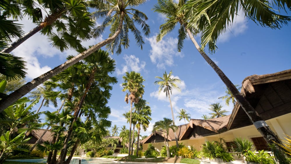 Фото Pulchra - Philippines