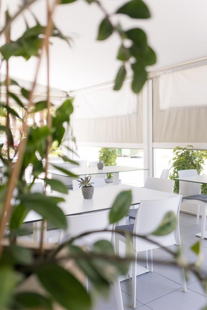 Фото Mikes Kanarium Hotel