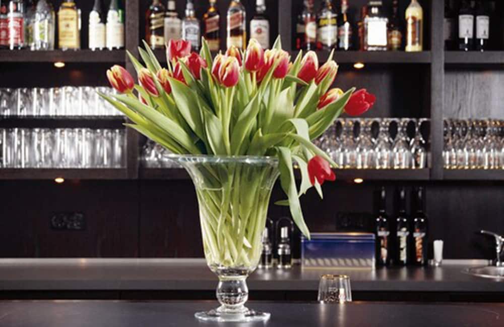 Фото Hotel Schloss Neuhardenberg