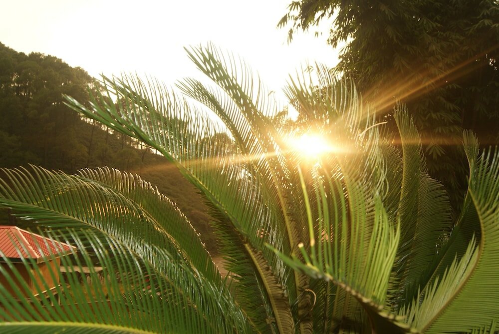 Фото Hotel The Woodz