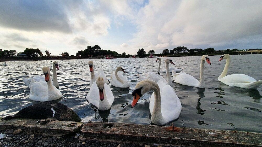 Фото Beach House - 1 Bedroom Apartment