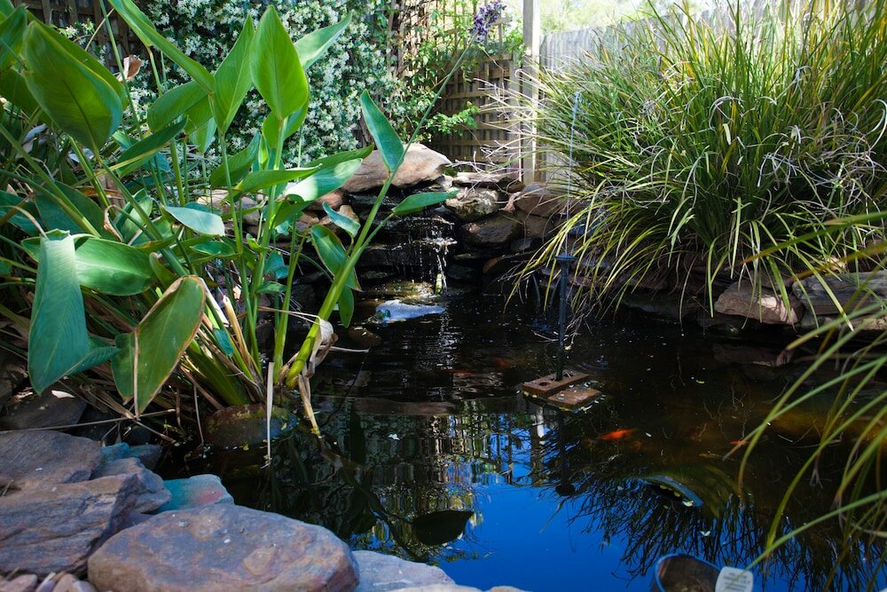 Фото Barossa House