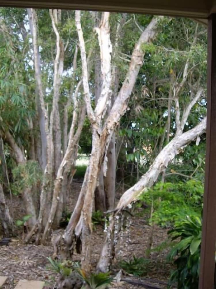 Фото Barooga On Pier