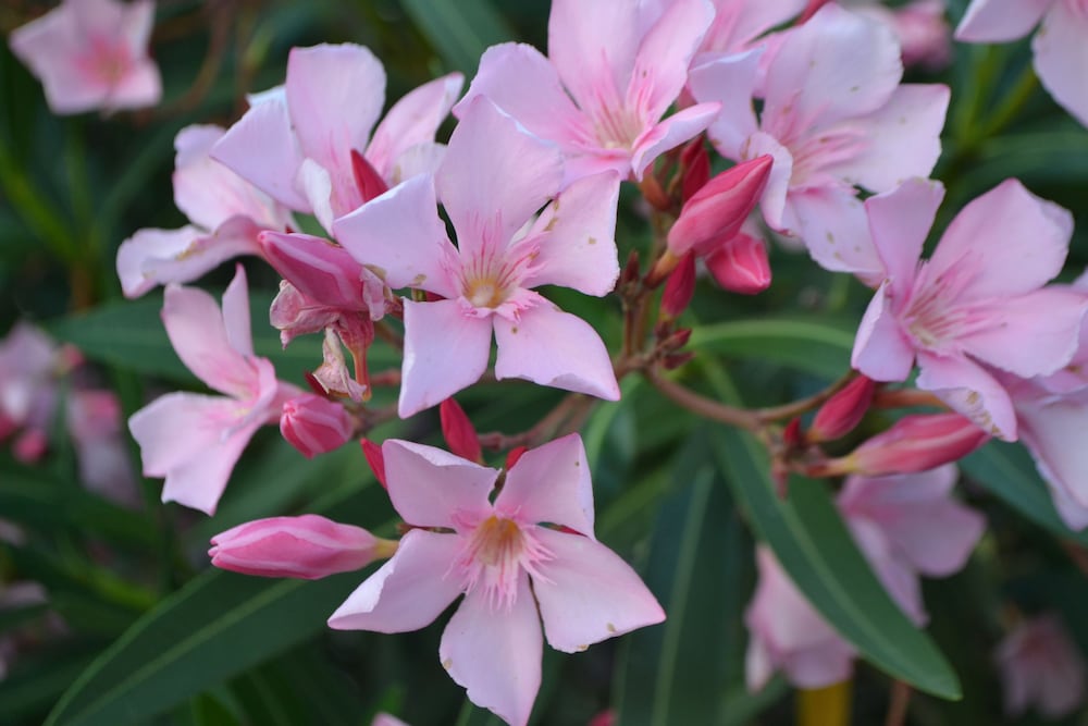 Фото Seymour Motel