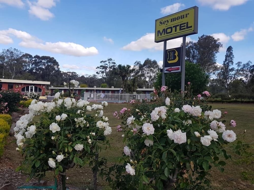 Фото Seymour Motel