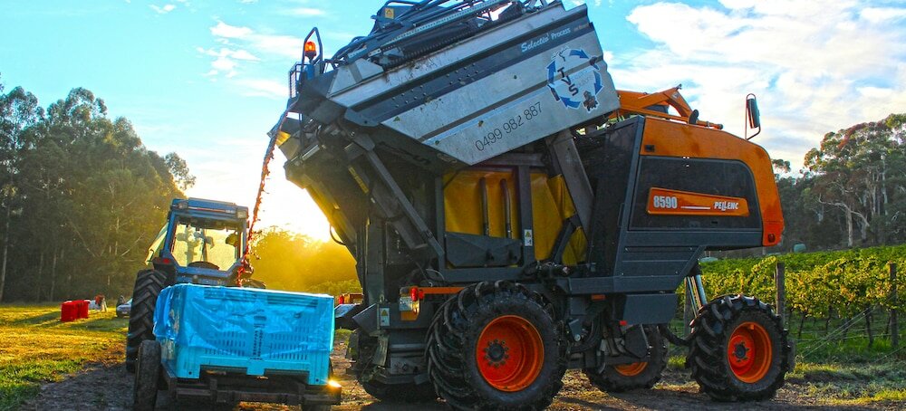 Фото Valley Farm Vineyard Cottages