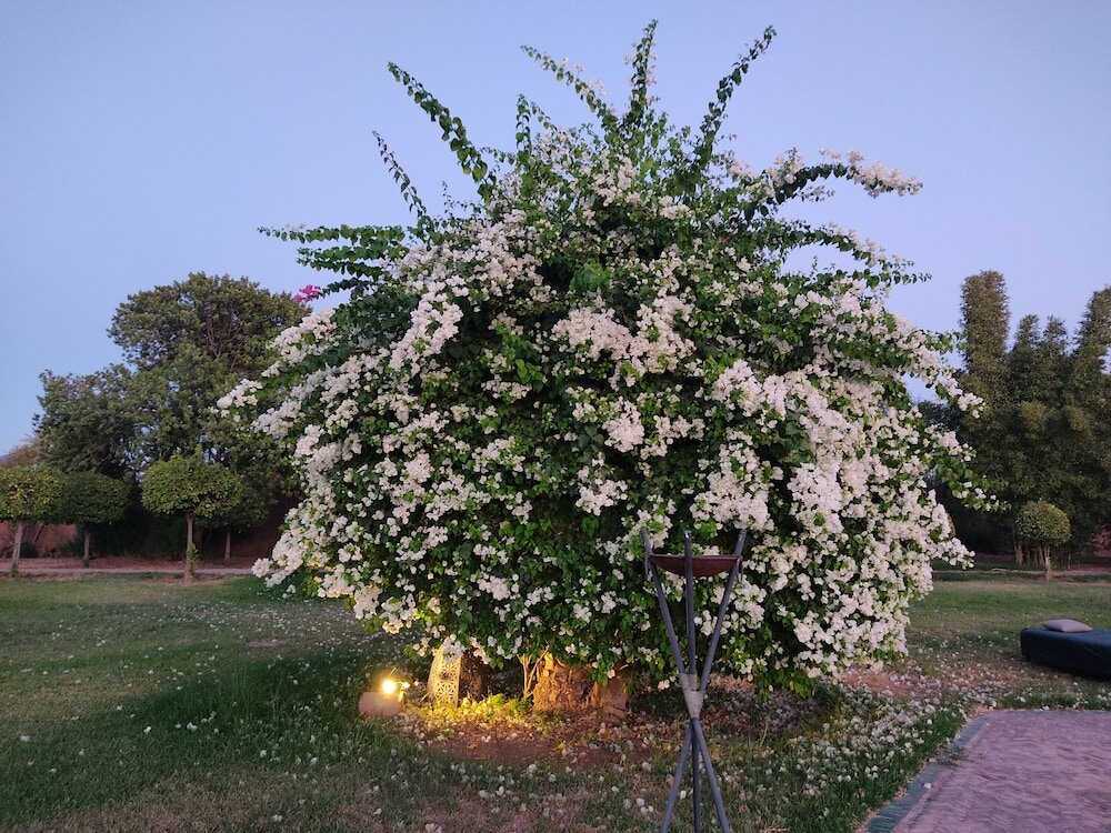 Фото Palais Clementina & SPA