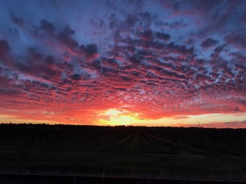 Фото Barossa House