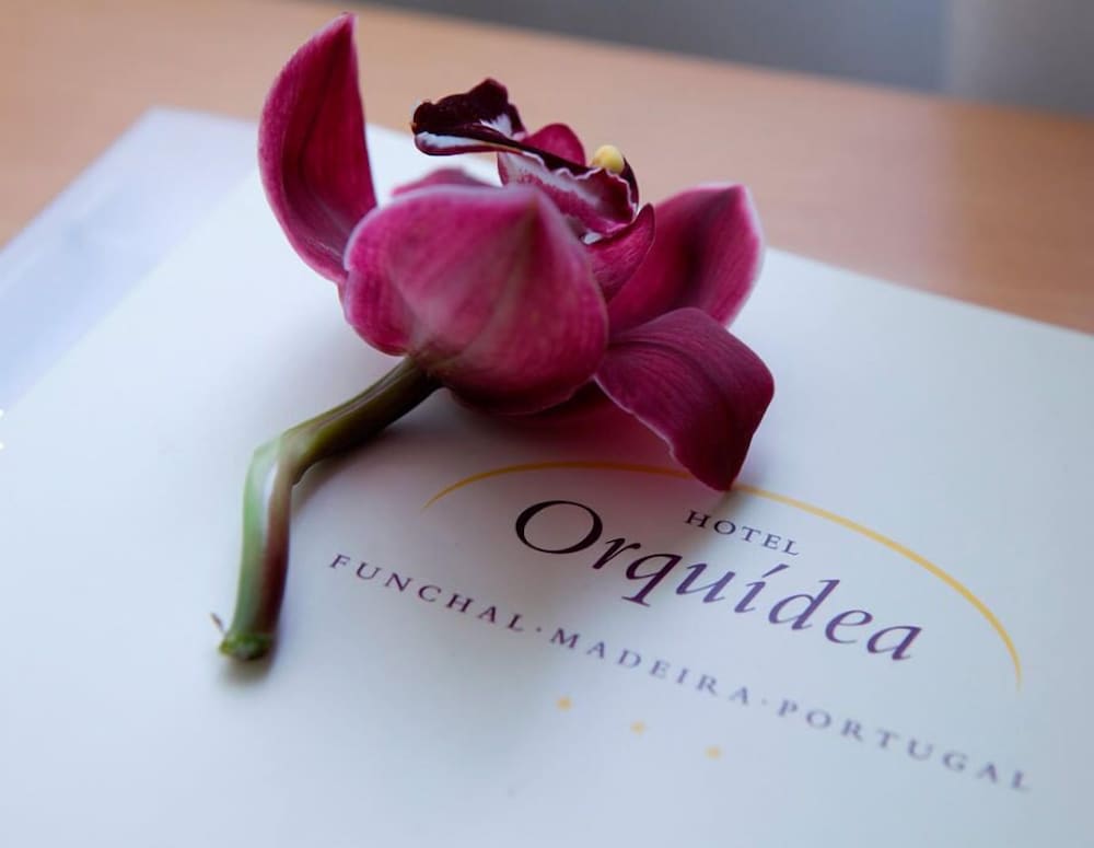 Фото Hotel Orquidea
