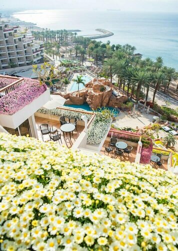 Гостиница Dan Panorama Eilat в Акабе