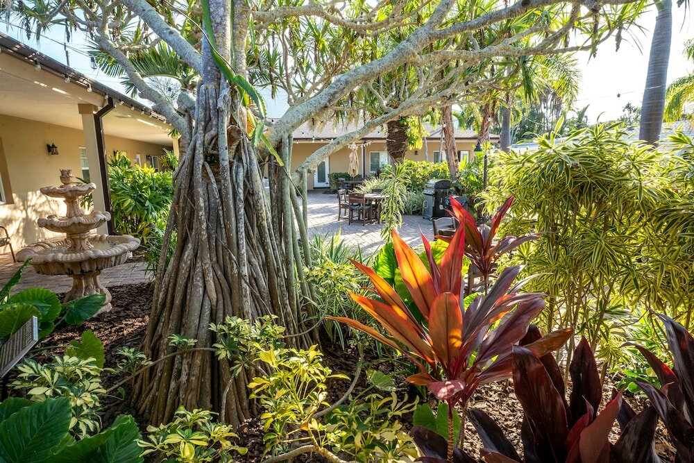 Фото The Capri at Siesta