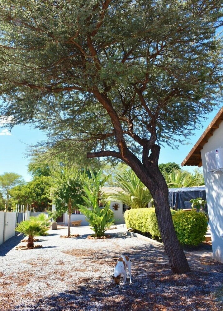 Фото Kamaku Guesthouse