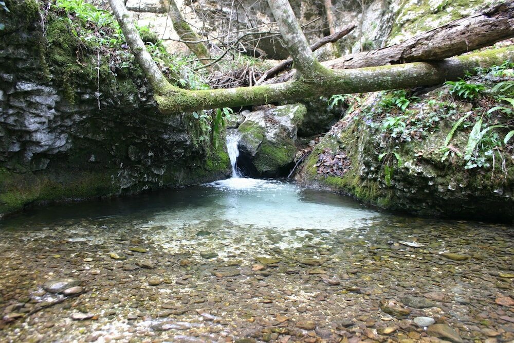 Фото Albergo Ristorante Lis Aganis