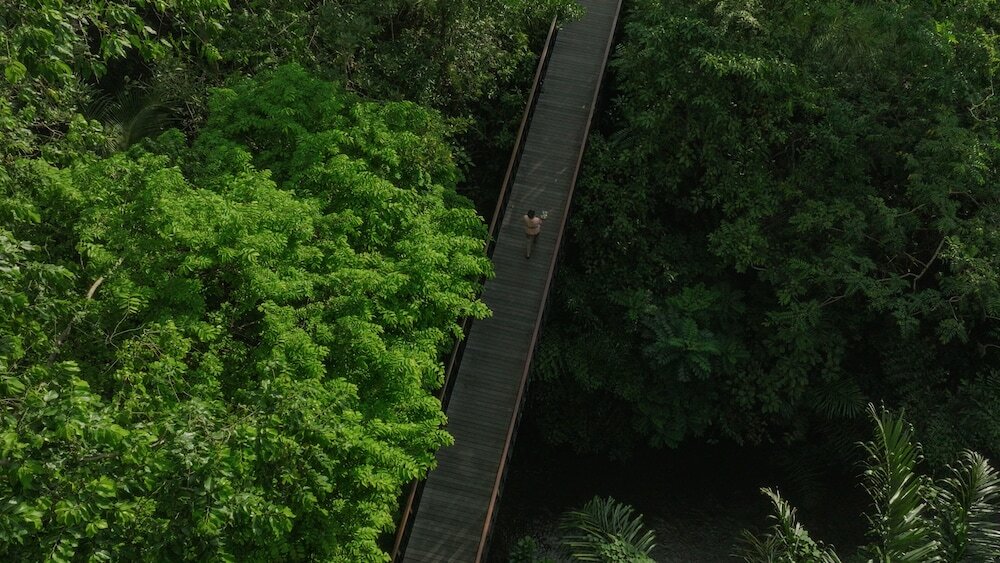 Фото 196941429882