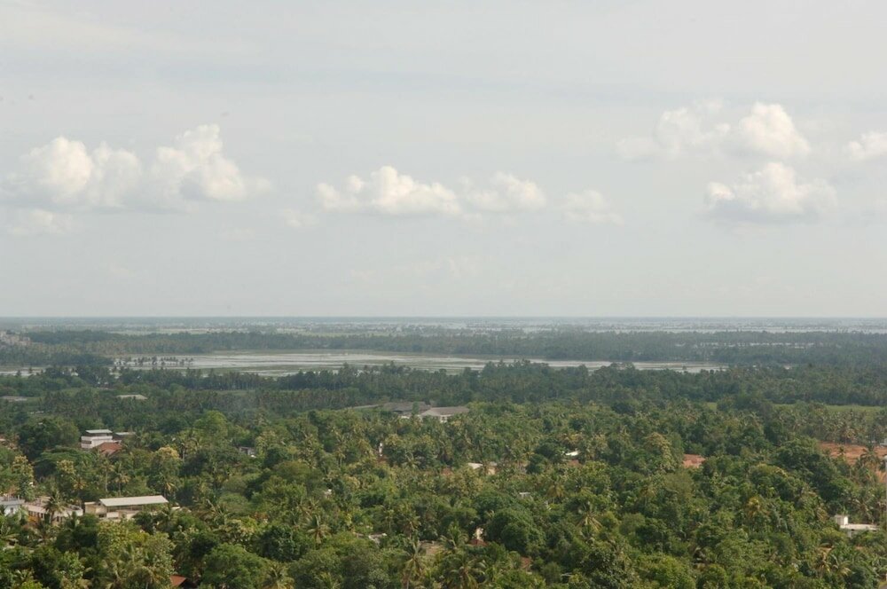 Фото Hotel Arcadia