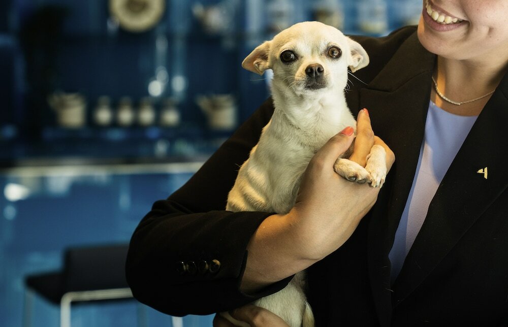 Фото Novotel Barcelona City