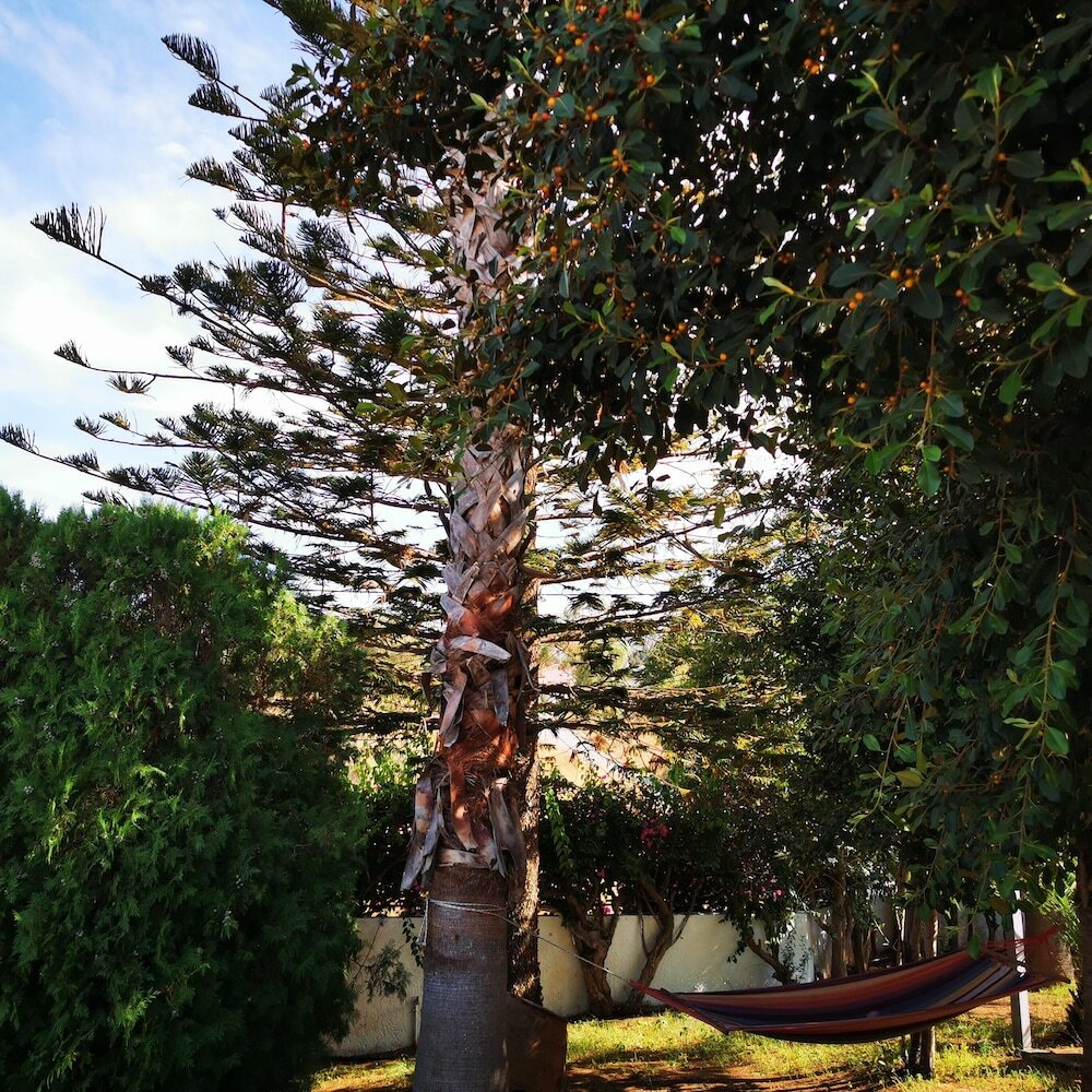 Фото Villa Irene