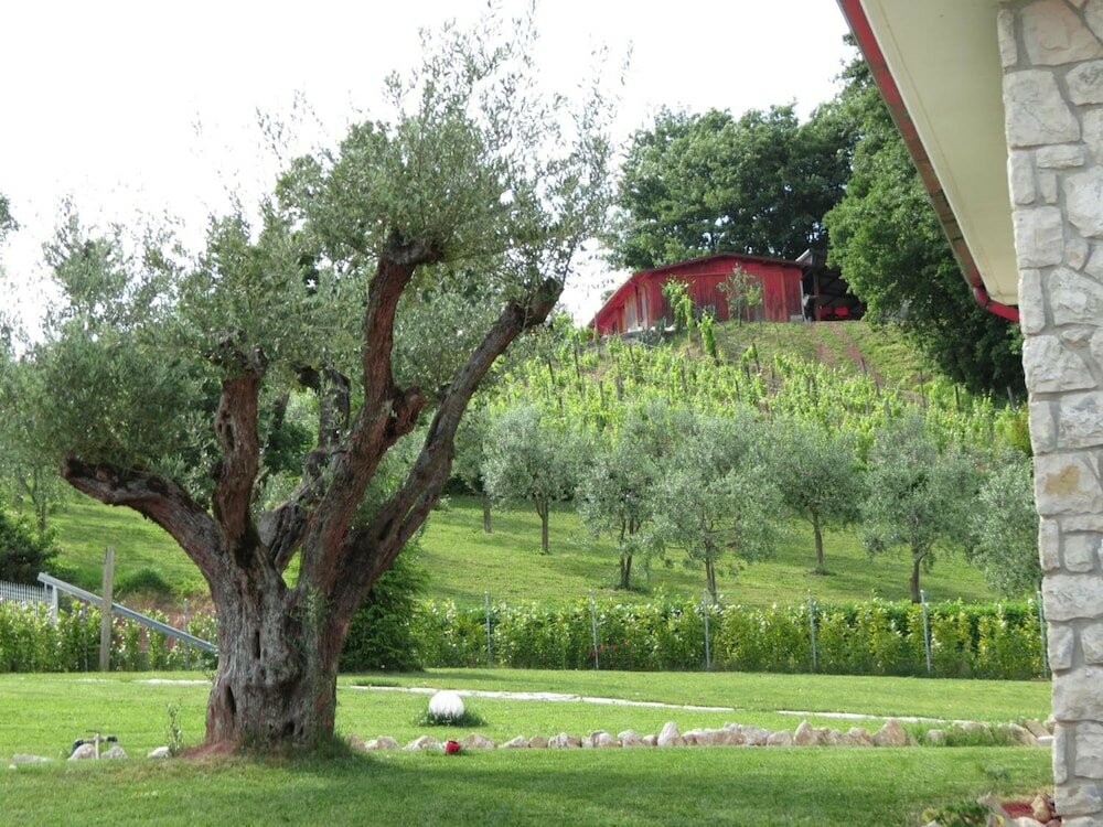 Фото La Selva Incantata b&b