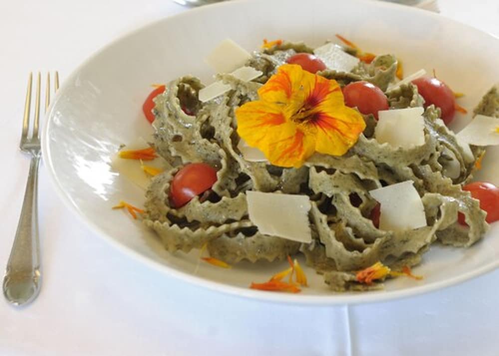 Фото Hotel Forstmeister