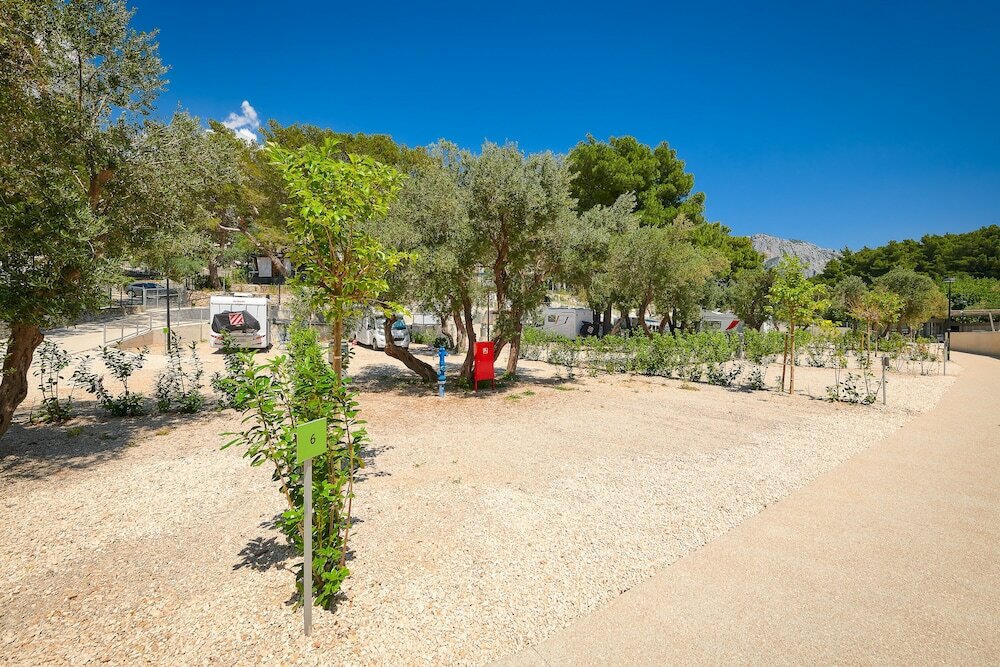 Фото Medora Orbis Mobile Homes & Glamping