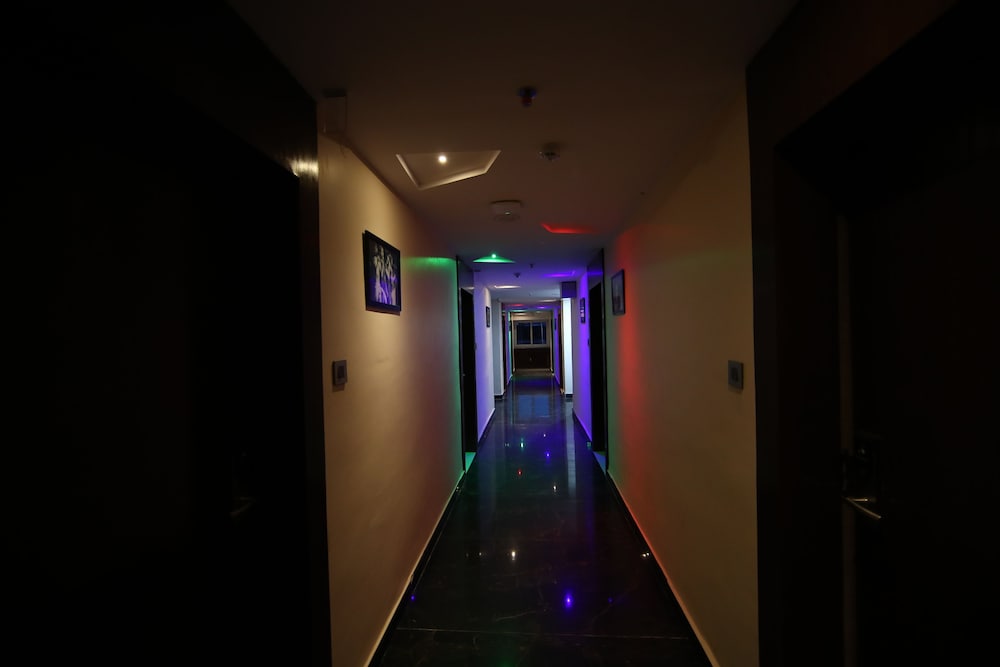 Фото Rohhotel