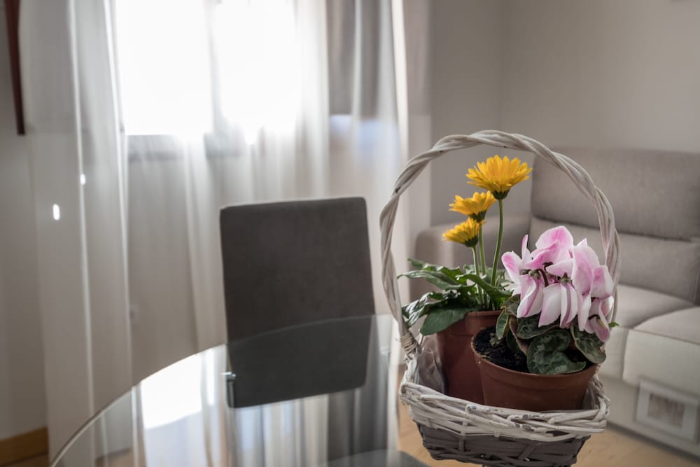 Фото Alhamar Center