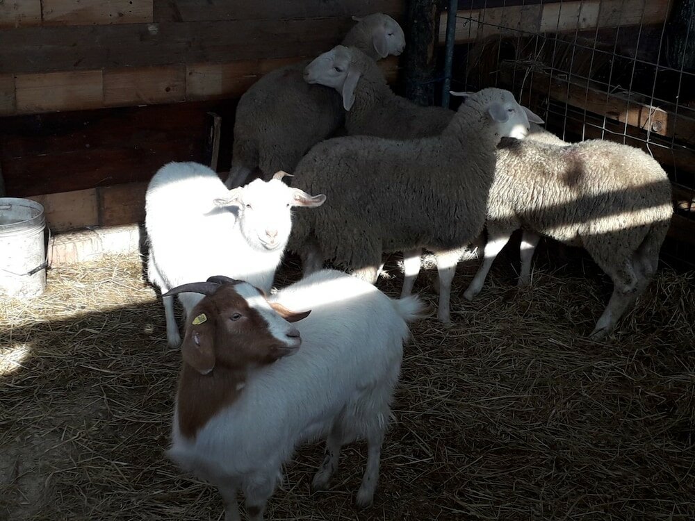 Фото Agriturismo La Vita è Bella