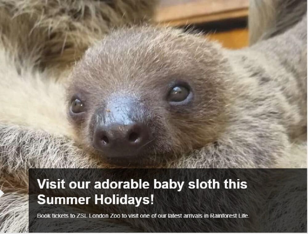 Фото The Euston St Pancras Apartments