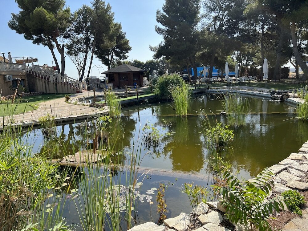 Фото Hotel El Cisne