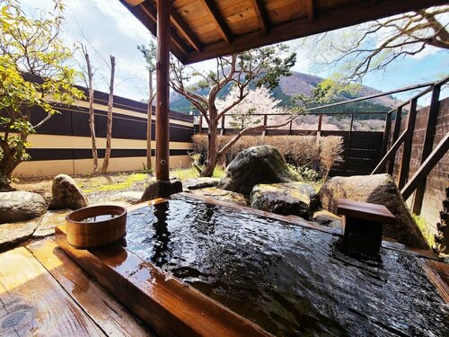 Гостиница Akasawa Onsen Ryokan