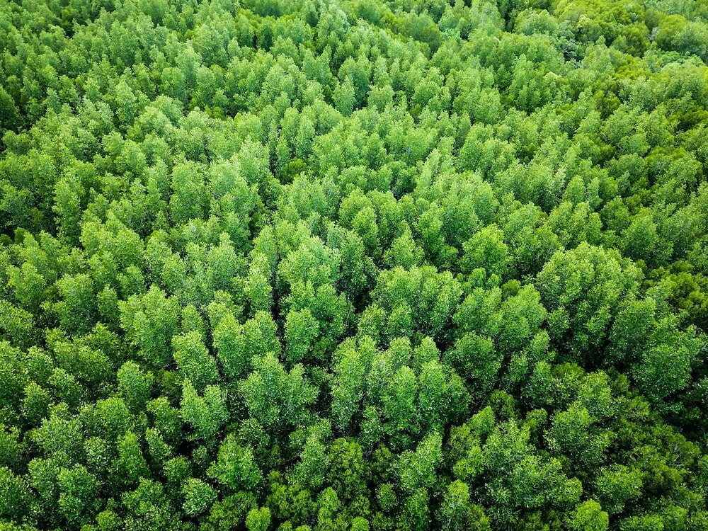 Фото Mango House Seafront Suites And Villas