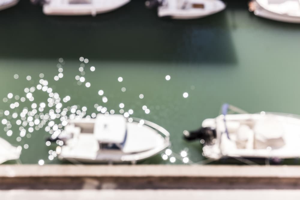 Фото Agave in città