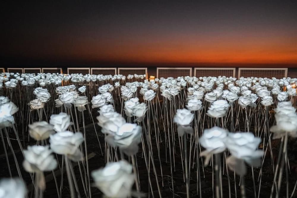 Фото Thunderbird Resorts - Poro Point