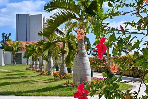 Гостиница Ishigaki Island Beach Hotel Sunshine