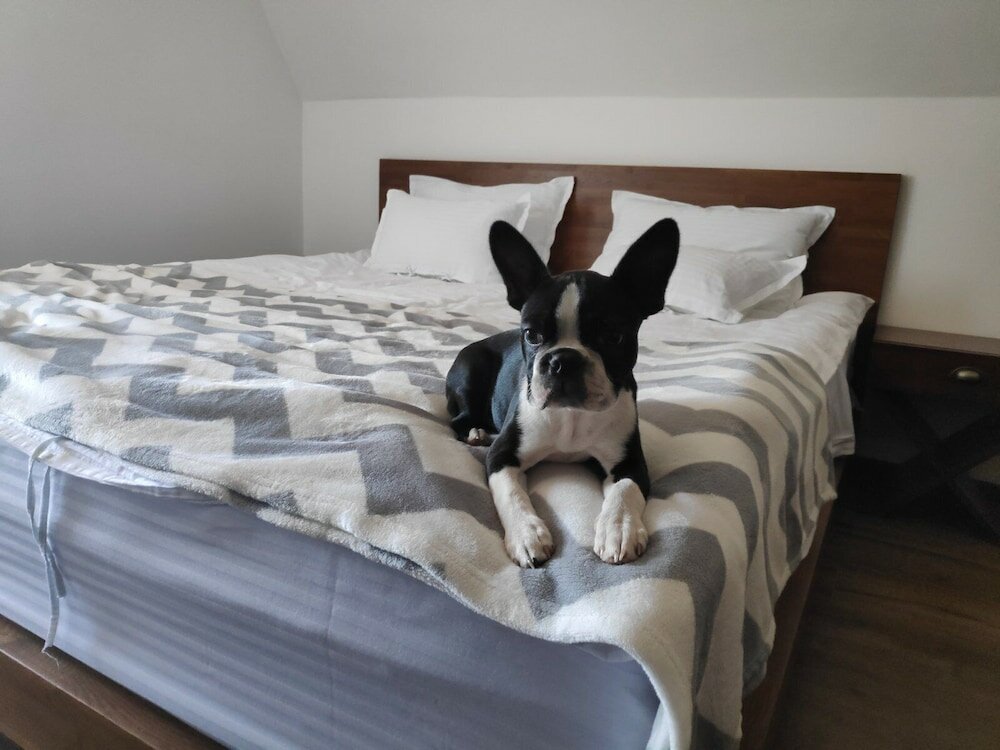 Фото Nicole Kopaonik