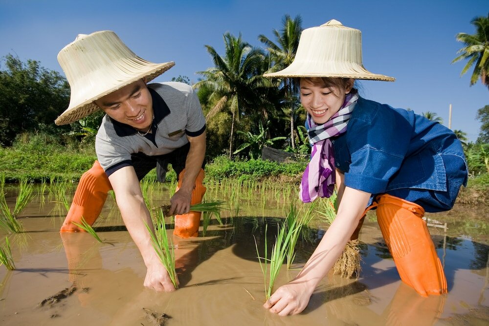 Фото Veranda High Resort Chiang Mai - MGallery