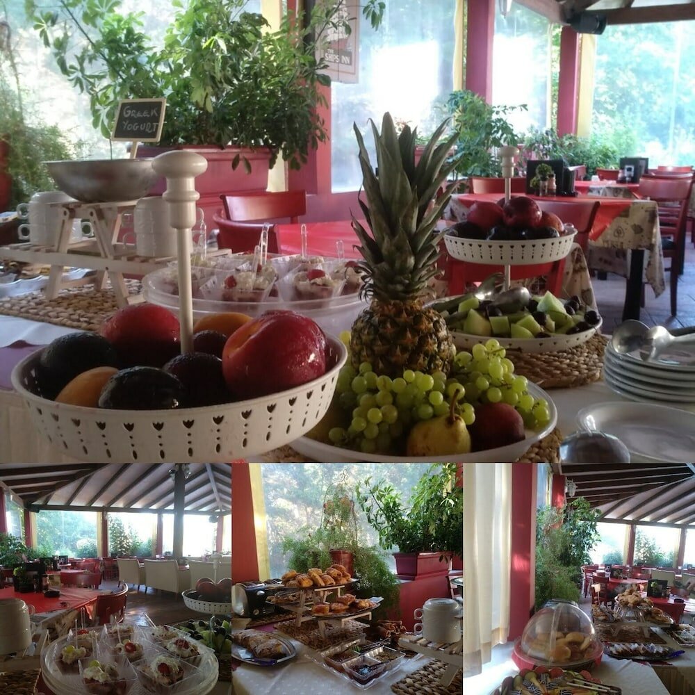 Фото Damia Hotel