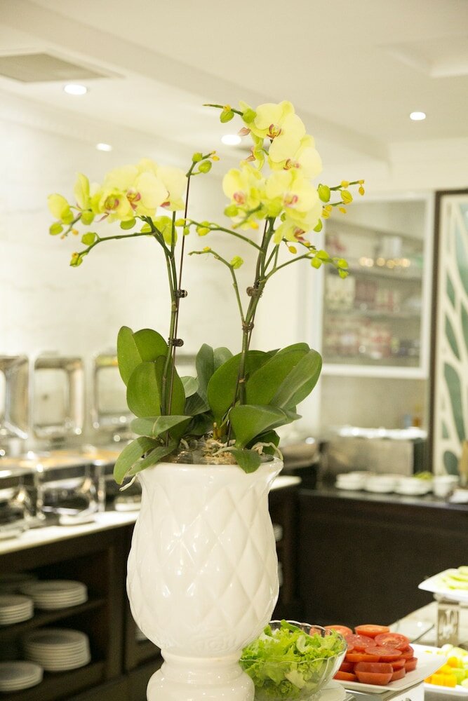 Фото City Bay Palace Hotel