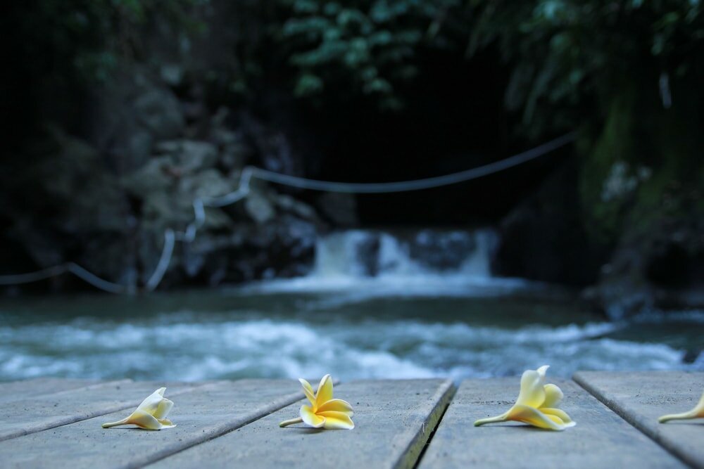 Фото Anahata Villas & SPA Resort