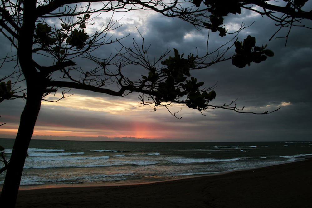 Фото Ngeluwungan Boutique Villa
