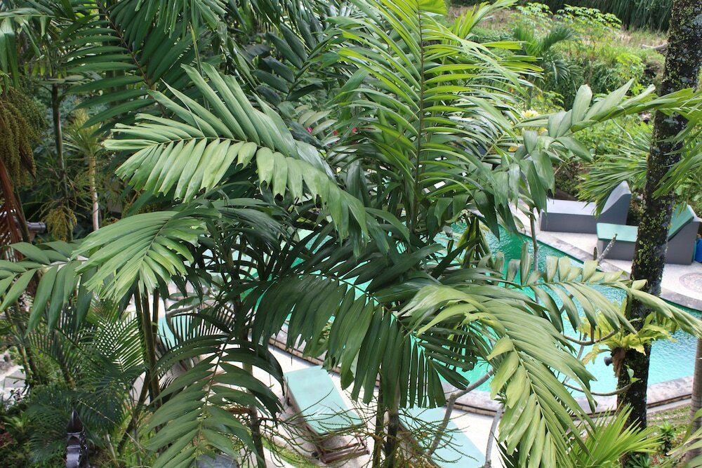 Фото Junjungan Suite Villa