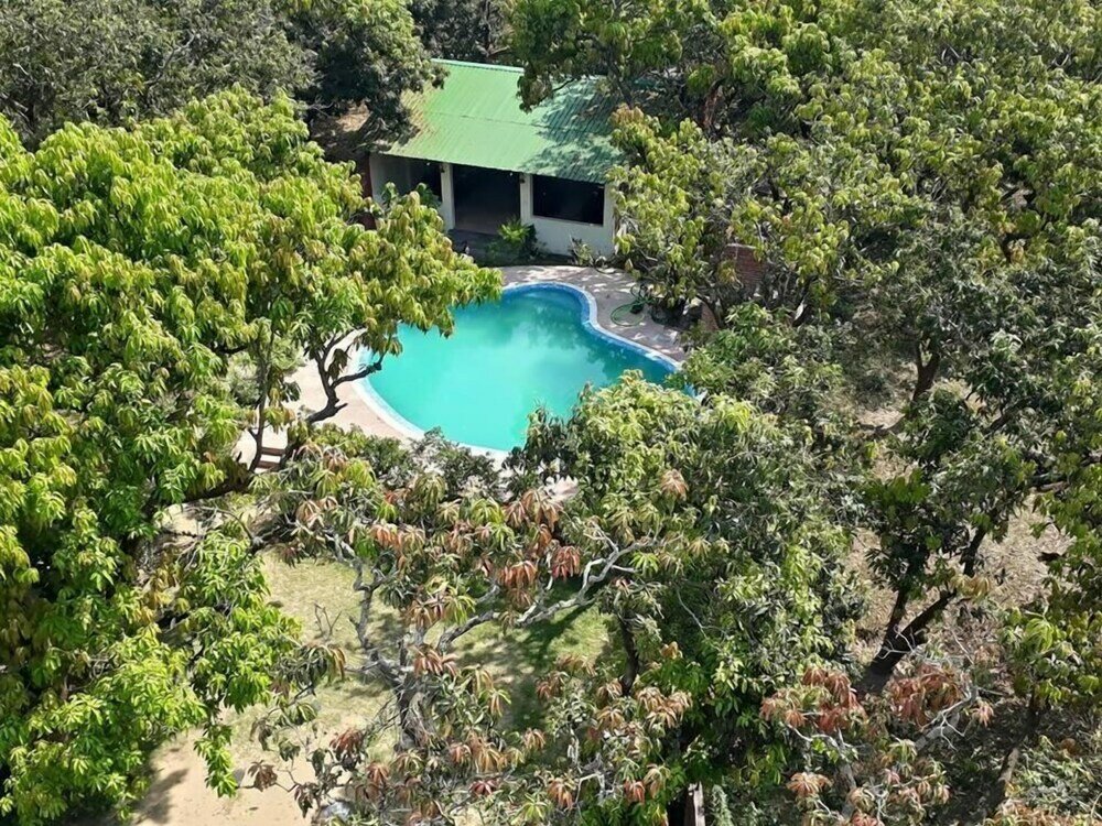 Фото Holiday Highlights by Dvm India