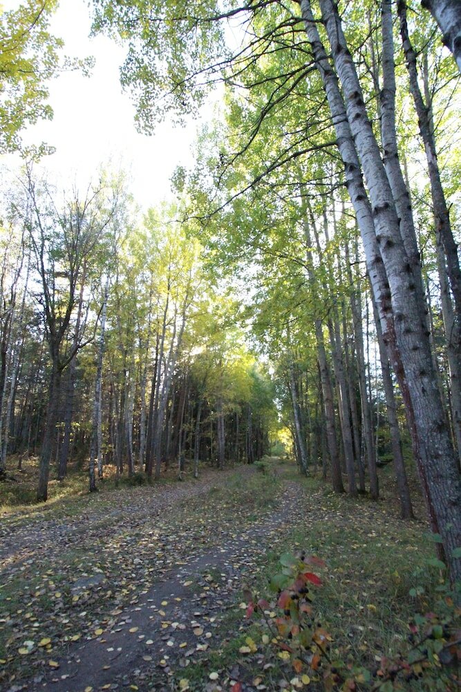 Фото The Sundeck-a romantic apt in Tallkrogen