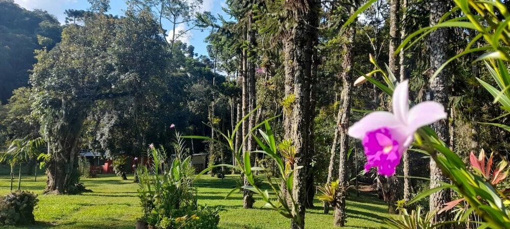 Фото Pousada Bosque do Visconde