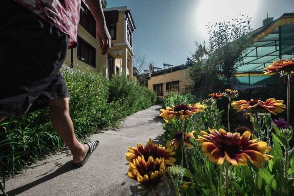 Фото Hotel Ri Rab