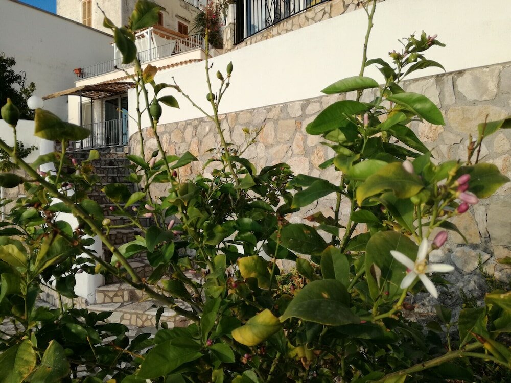 Фото Casa Omero Sperlongaresort