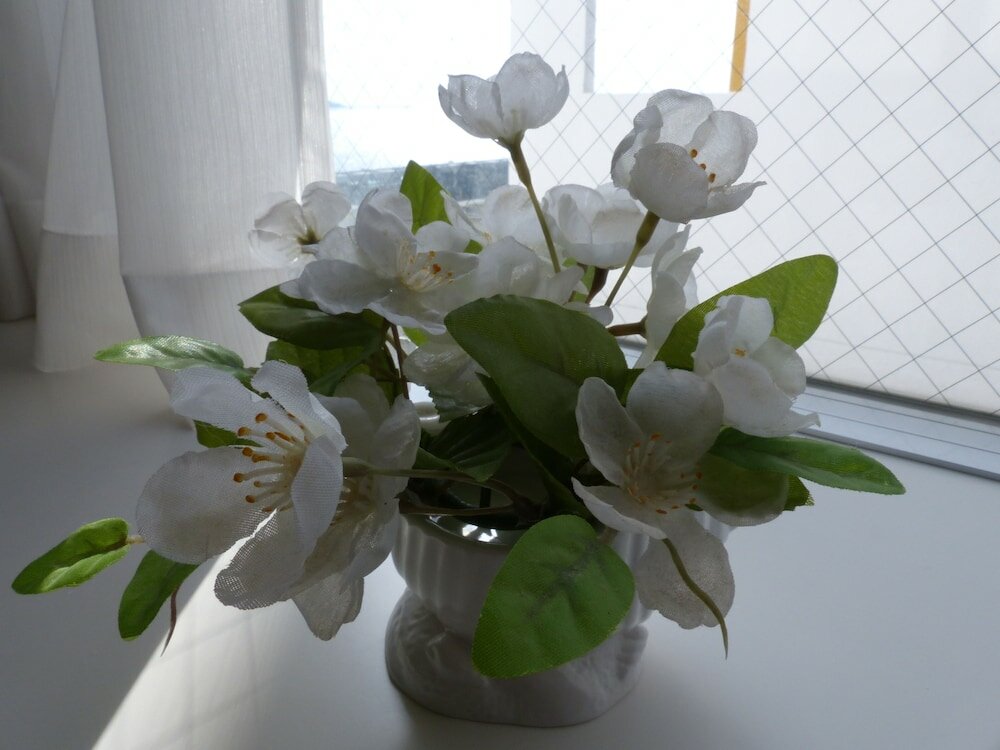 Фото Ocean Front Yamakawa